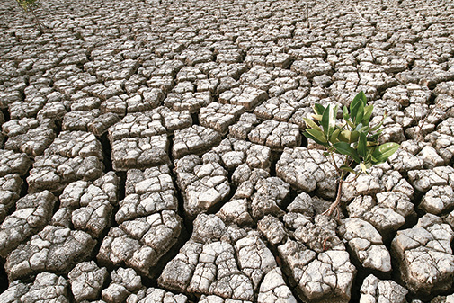 Zmartwychwstanie umarłych