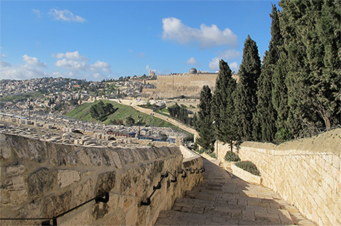 Odrzucony król Izraela