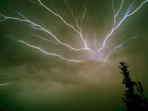 fot. Jan Bambach Wikimedia Commons